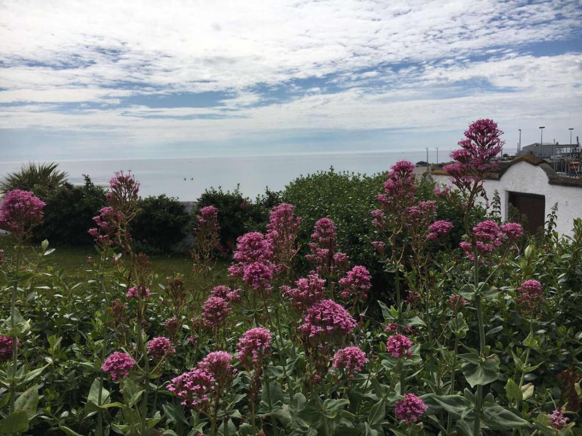 The Wooden House Hotel Kilmore Quay Bagian luar foto